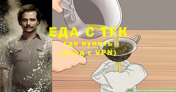 тгк Абаза