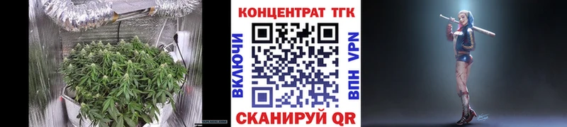 где купить   Шахунья  ТГК жижа 