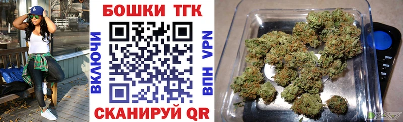Бошки Шишки индика  Шахунья 
